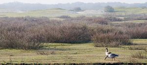 Rustpauze op Schiermonnikoog