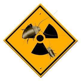 Radioactive Blattodea by Grüntyers .