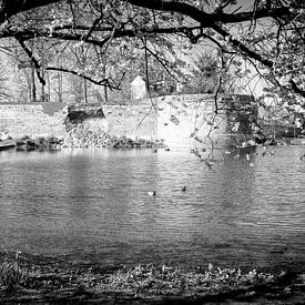Remparts de Maastricht près de De Vijf Koppen sur Streets of Maastricht