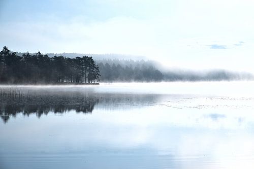 Mist in het water bij zonsopgang op een Zweeds meer