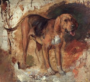 Holman Hunt - Study of a bloodhound