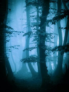 Herfts in het bos (blauwtinten)