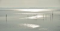 Winter op het Lauwersmeer van Henk Piek thumbnail
