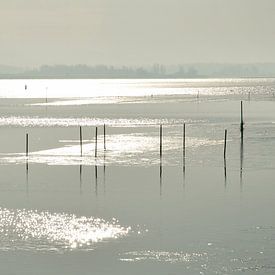 Winter auf dem Lauwersmeer von Henk Piek