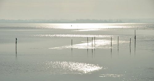 Winter auf dem Lauwersmeer