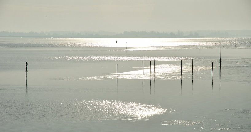 Winter op het Lauwersmeer van Henk Piek