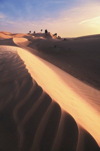 Dunes in the sandy desert of Oman