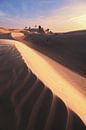 Duinen in de zandwoestijn van Oman van Jean Claude Castor thumbnail