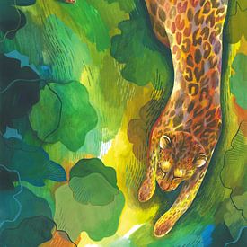 Leopard by Jet Parent