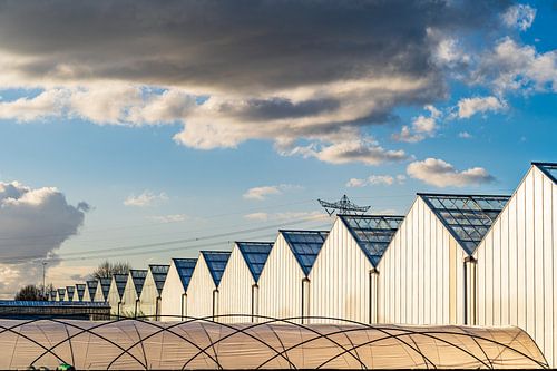 Formen von Gewächshäusern in verschiedenen hellen Pastelltönen.