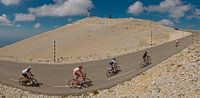 Mont Ventoux, Bedoin, Frankrijk van Rene van der Meer thumbnail
