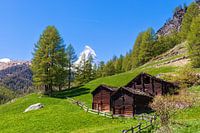 Idylisch Zwitsers landschap met uitzicht over de Matterhorn