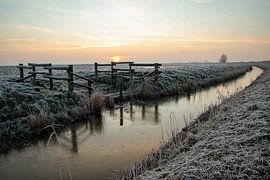 Wintertime by Hillie Dijkstra