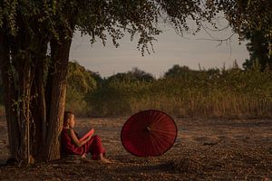 Se reposer sous un arbre à la lumière du soir