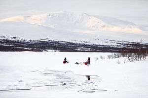 Traîneau à chiens dans un paysage hivernal enneigé sur Martijn Smeets