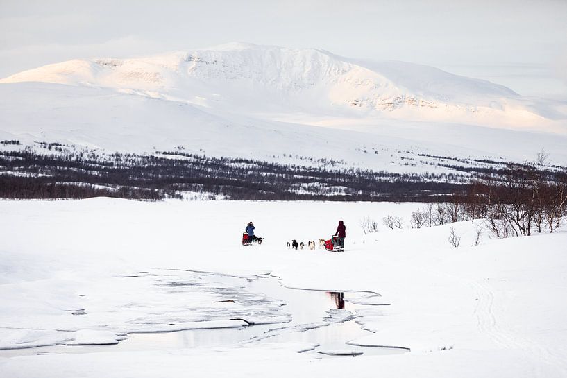 Hondensleeën in een besneeuwd winterlandschap van Martijn Smeets