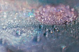 Water droplets by Tiziana Cambarau Fotografie