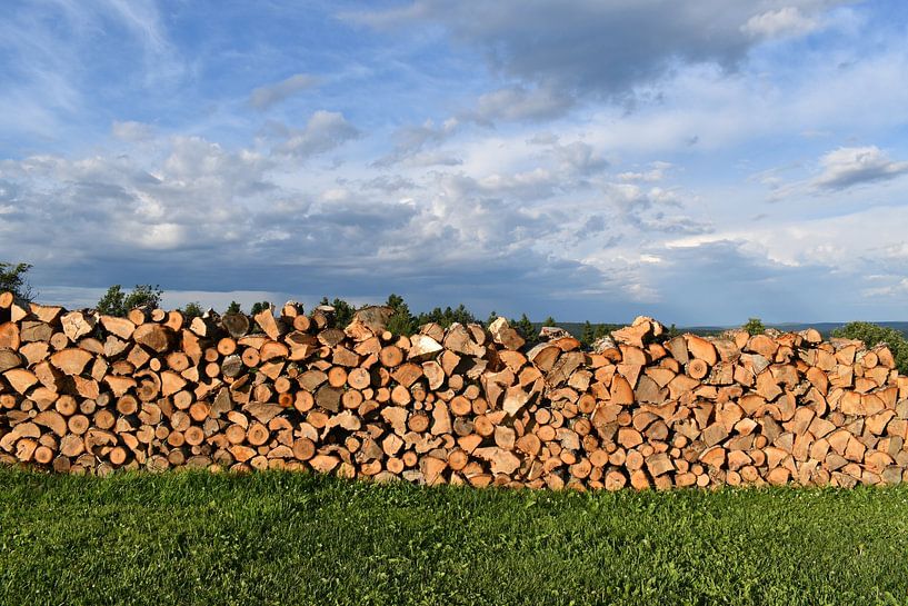 A string of wood in a field in summer by Claude Laprise