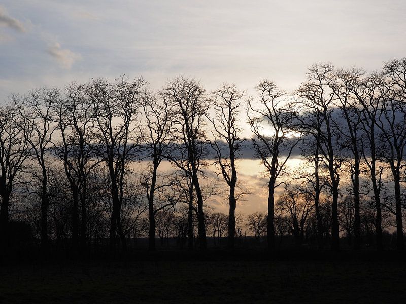 Sunset by Tonny Swinkels