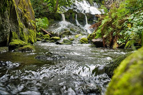 Kleine waterval in het bos met mos op stenen