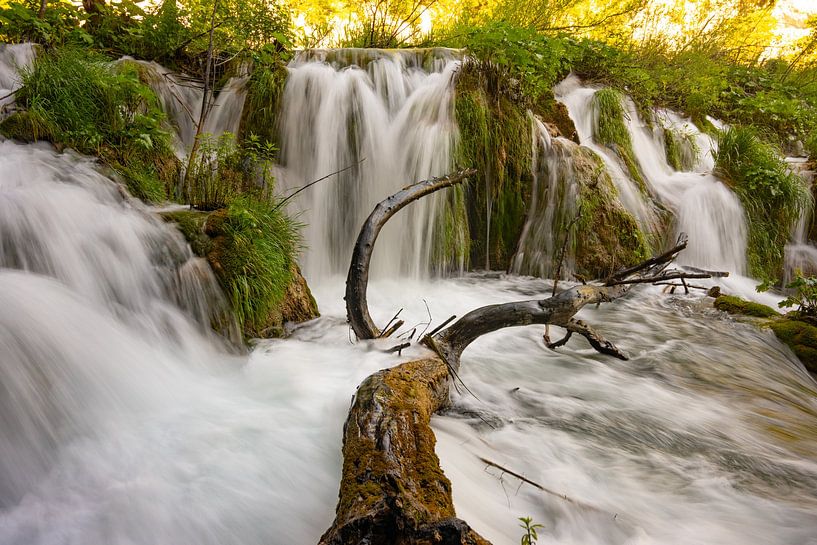 Eaux vives des lacs de Plitvice par Kevin Pluk