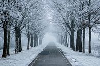 Een winters pad  van AnyTiff (Tiffany Peters) thumbnail