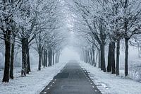 Een winters pad 