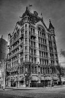 White House Rotterdam
