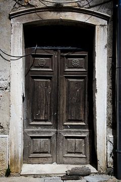 Double wooden black door