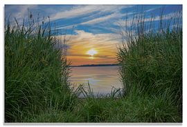 zonsondergang in dordste biesbosch