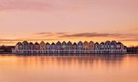 Rietplas in Houten, Netherlands