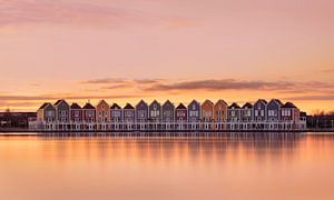 Rietplas in Houten, Nederland van Adelheid Smitt