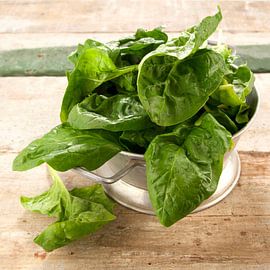 Gemüse0358a von Liesbeth Govers voor Santmedia.nl