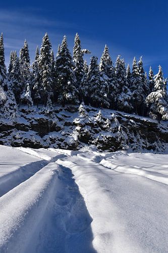 Een landweg in de winter