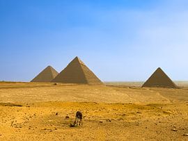 Pyramids of Giza by Jeroen Berendse