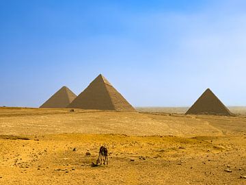 Piramides van Gizeh van Jeroen Berendse