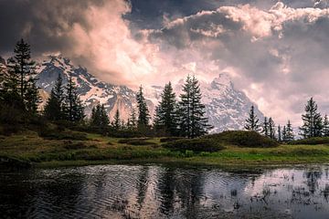 Berner Oberland von Nico Schlüter