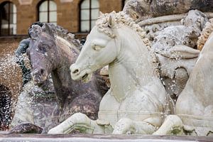 Marmeren paarden in de fontijn van Neptunus, Florence, Italie van Joost Adriaanse