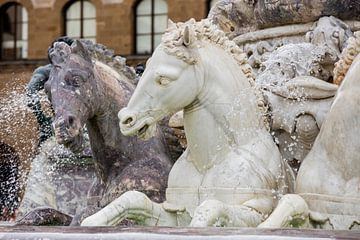 Marmeren paarden in de fontijn van Neptunus, Florence, Italie