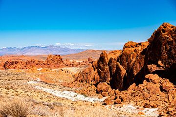 Landschap met rotsformatie in de Valley of Fire in Nevada USA van Dieter Walther