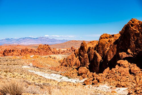 Landschaft mit Felsformation im Valley of Fire in Nevada USA