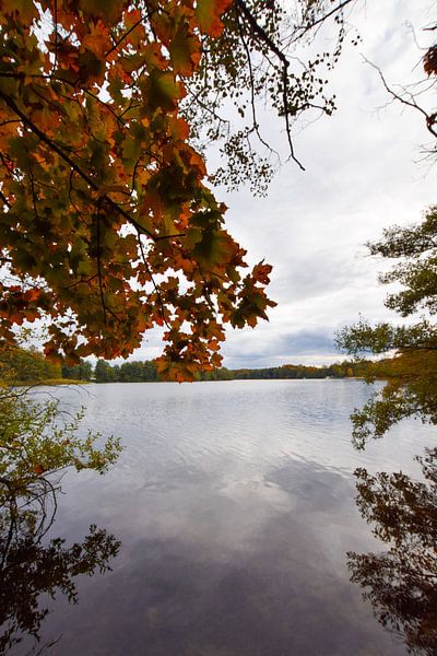 Autumn atmosphere at the Bötzsee by Franziska Brückmann