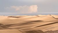 0085 Endless dunes van Adrien Hendrickx thumbnail