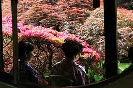 Japanese garden relax by Tatjana Korneeva