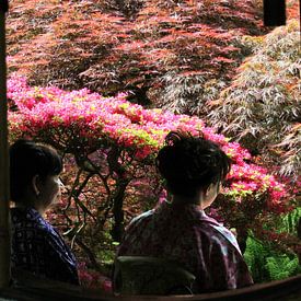 Japanse tuin relax van Tatjana Korneeva