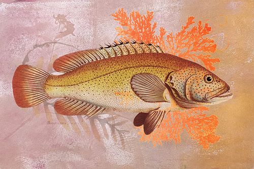 Fish on Pink & Orange