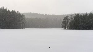 Der einsame Stein von Marloes van Pareren