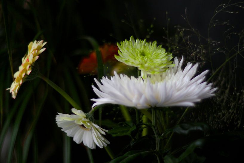 Bouquet of flowers by Marianna Pobedimova