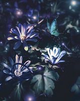 purple blue flowers fantasy