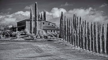 Poggio Covili - Tuscany - 3 - infrared black and white by Teun Ruijters
